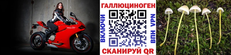 kraken рабочий сайт  Сортавала  Галлюциногенные грибы Cubensis  где купить наркоту 